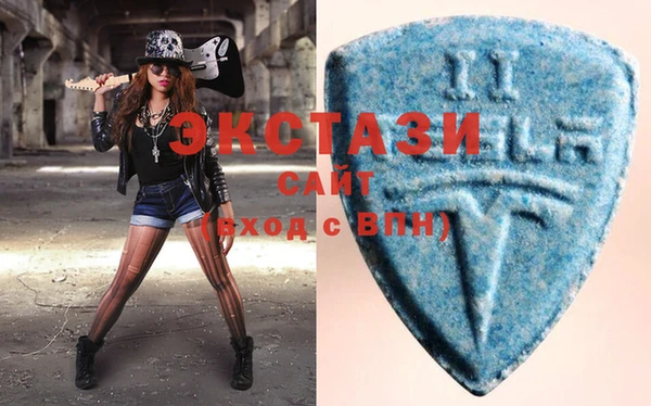 ECSTASY Богородицк